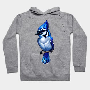 BlueJay Hoodie